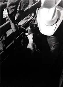 Image description is not available for 2010.060